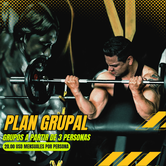 PLAN GRUPAL