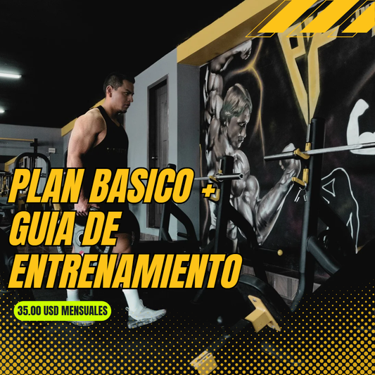 PLAN BASICO