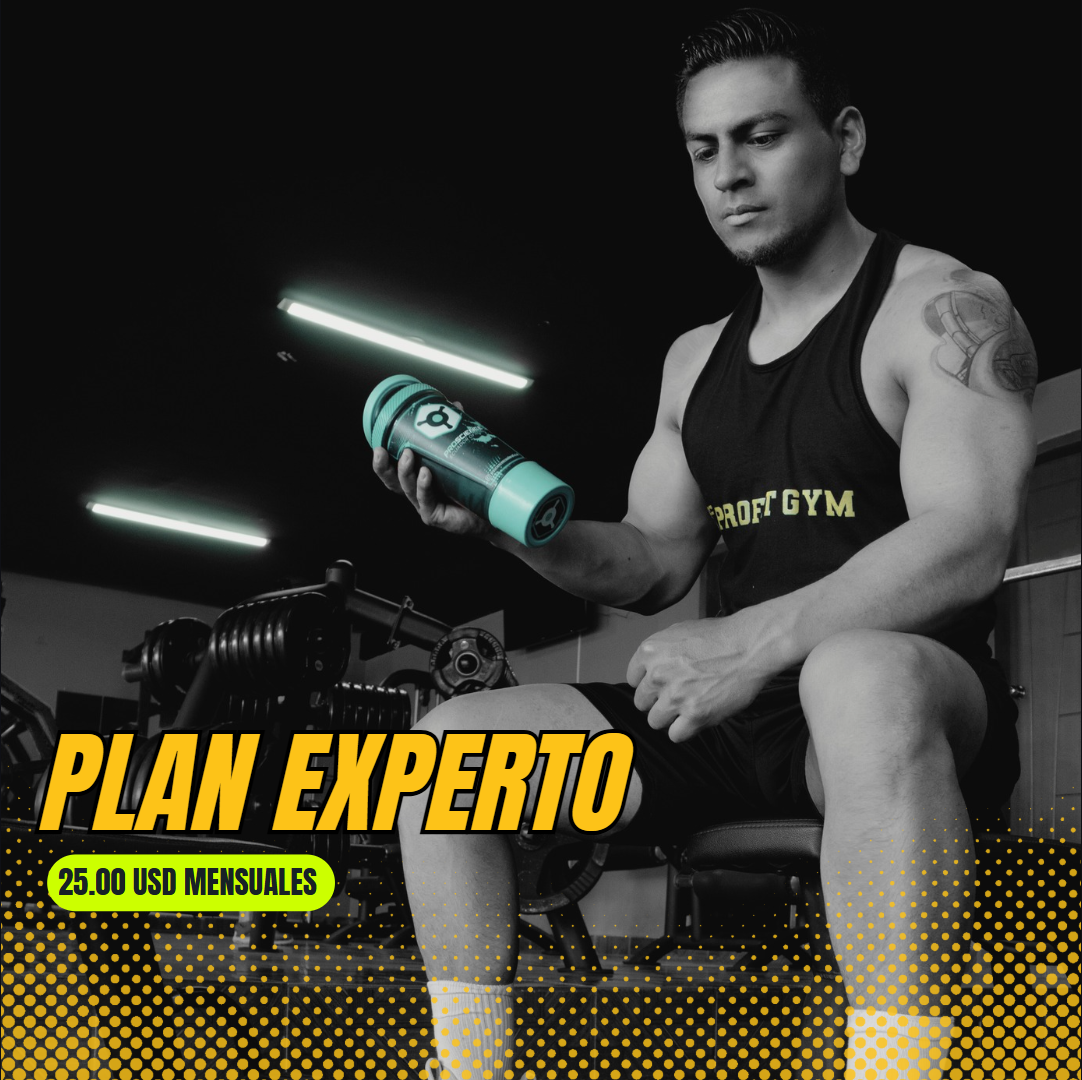 PLAN EXPERTO
