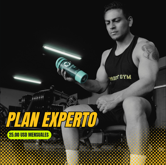 PLAN EXPERTO